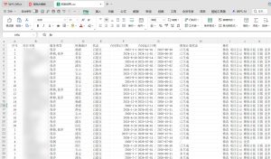 消防技术服务平台数据采集开发小计